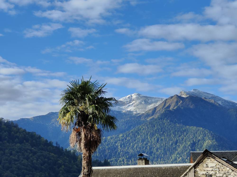 Paysage