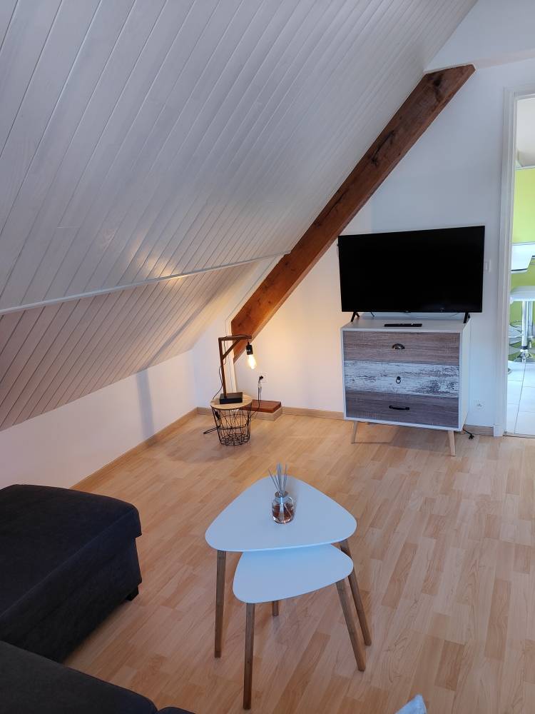 Salon avec télévision