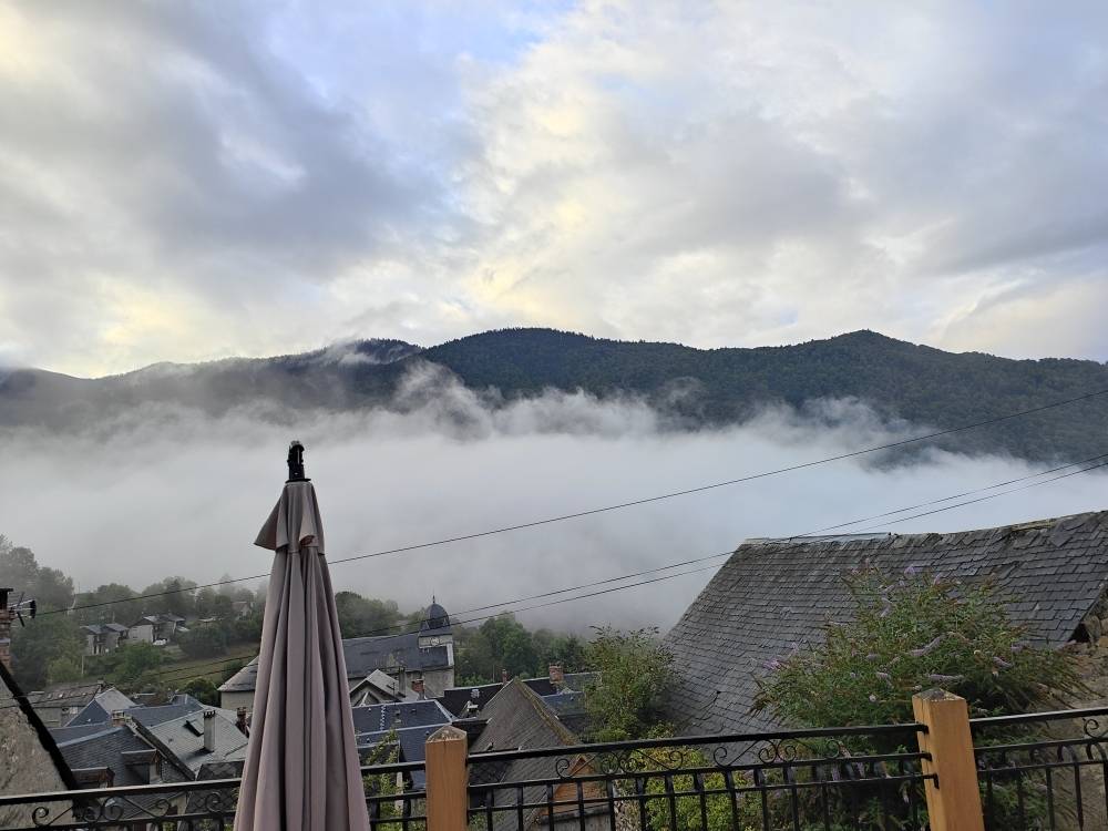 Brume